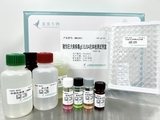 猪伪狂犬病病毒gE-ELISA抗体检测试剂盒