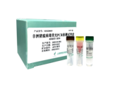 非洲猪瘟病毒荧光PCR检测试剂盒（高端进口原料）